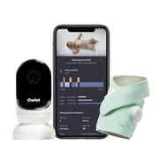 Rent to own Owlet Dream Duo - Smart Portable Video Baby Monitor - HD Video Camera + Sock With Heart Rate, AVG Oxygen Tracker - Mint Green