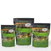 Rent to own Outsidepride Perennial White Miniclover Clover Seeds For Lawns & Groundcover For Full Sun or Partial Shade - 1 LB