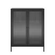 Rent to own RealRooms Shadwick 2 Door Metal Locker Storage Cabinet-Fluted Glass Doors, Black
