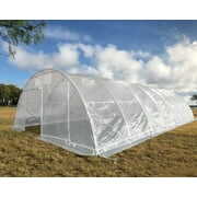 40'x20' Clear Greenhouse with Round Arch - Large Walk-in Nursery By ...