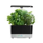 Rent to own AeroGarden Harvest, Black with Gourmet Herbs Seed Kit
