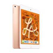 Rent to own Apple iPad mini Wi-Fi 256GB - Gold