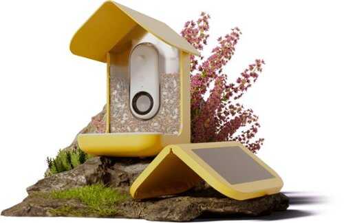 Rent to own Bird Buddy - Smart Bird Feeder with Solar Roof - Yellow