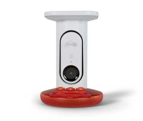 Rent to own Bird Buddy - Smart Hummingbird Feeder with Solar Roof - White