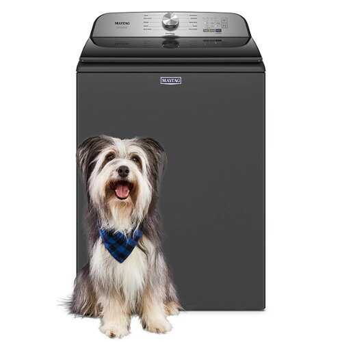 Rent to own Maytag - 4.7 Cu. Ft. High Efficiency Top Load Washer with Pet Pro System - Volcano Black