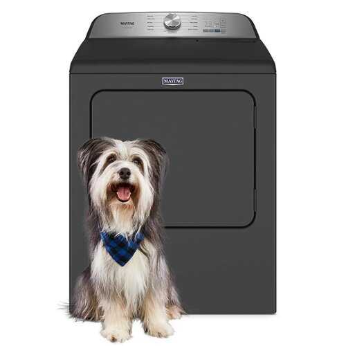 Rent to own Maytag - 7.0 Cu. Ft. Electric Dryer with Steam and Pet Pro System - Volcano Black