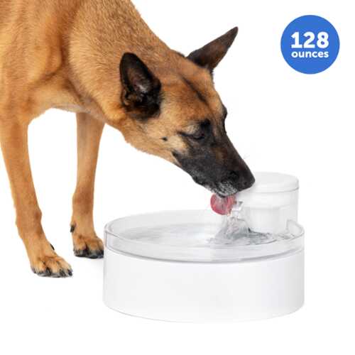 Rent to own PetSafe - PetSafe® Outlast™ 128 oz Pumpless Pet Fountain - White