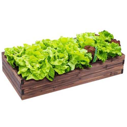 Rent to own Costway Wooden Raised Garden Bed Kit - Elevated Planter Box For Growing Herbs Vegetable - Brown