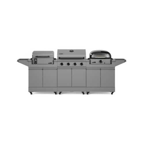 Rent to own TYTUS Grills - Anaheim 4-Burner Gas Grill - gray