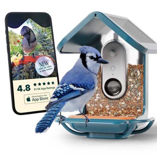 Rent to own Bird Buddy - Smart Bird Feeder w/ Solar Roof (Pro Camera Version w/ Extended Perch) - Blue
