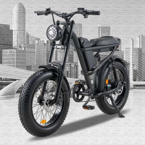 Rent to own PJIBO Riding'times 750W Moped Style Electric Bike, 20 Inch Fat Tire & 6-Layer Full Suspension Ebike, Up to 28MPH & 75 Miles, 16AH Removable Battery, All-Terrain E Bike for Mountains, Snow, Sand, Road
