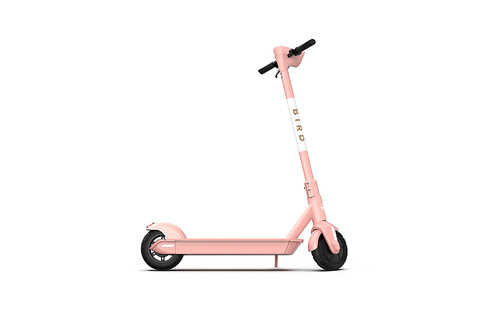 Finance Bird One Electric Scooter in Electric Rose