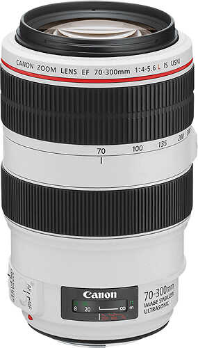 Rent to own Canon - EF 70–300mm f/4–5.6L IS USM Telephoto Zoom Lens - White