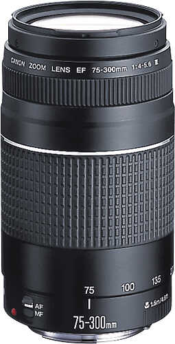 Rent to own Canon - EF 75-300mm f/4-5.6 III Telephoto Zoom Lens - Multi